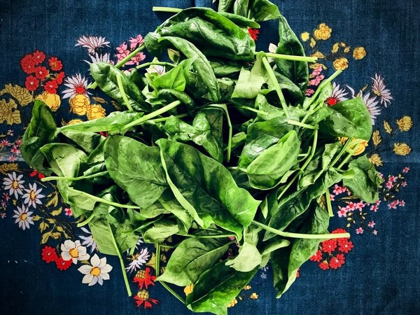 网站建设公司哪家好速找盛世传媒？（网站建设比较好公司）